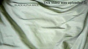 Monster Cock POV Pound