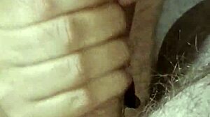 Wife Cock Suck