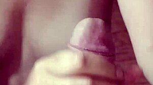 Wife Cock Suck