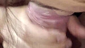 Wife Cock Suck
