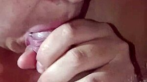 Wife Cock Suck