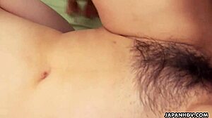 Uncensored Jav Spread