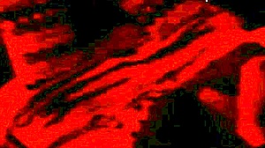 Homemade Wedding Fuck