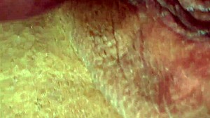 BBW Creampie Compilation