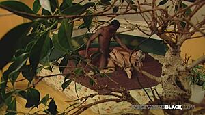 Ass Gaping Threesome