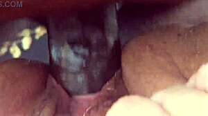 BBW Creampie Compilation