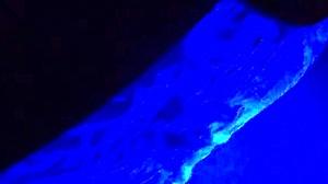 uv light handjob