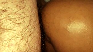 Creampie Ass Pussy