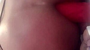 stephanie tease