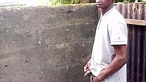 bbc public flash