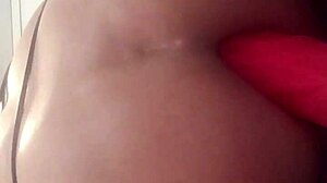 stephanie tease