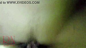 Creampie Pussy Fuck