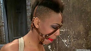 Ebony Hogtie Torment
