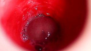 Anal Fuck Doll Creampie