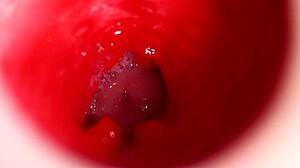 Anal Fuck Doll Creampie