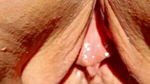 Wet Meaty Pussy