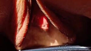 Wet Meaty Pussy