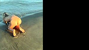 kleo beach tease