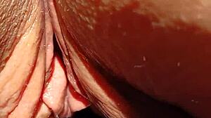 Wet Meaty Pussy