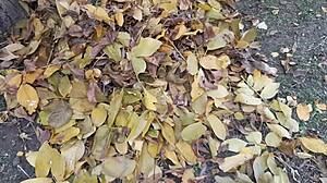 autumn hut orgasm