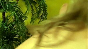 aurora anal whore