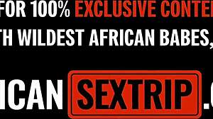 Ebony Rough Domination