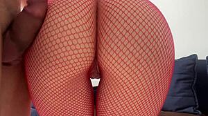 Ass Pantyhose Hump