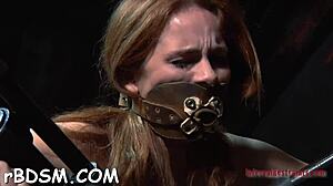 femdom ball licking