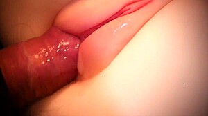 Slippery Pussy Toy