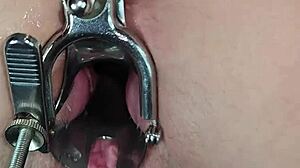 Speculum Masturbation