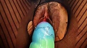 bad dragon pussy
