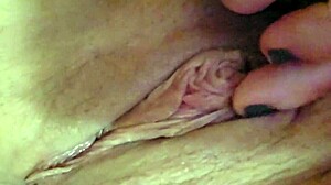 Private Pussy Fun