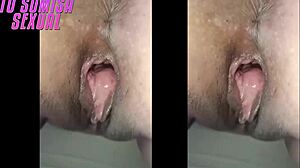 concha abierta