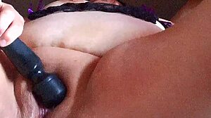 BBW Shorts Comp