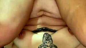 blowjob to anal