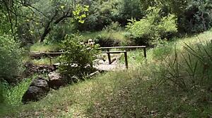 Outdoor Threesome Blast