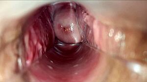 Vagina Pulsating Orgasm
