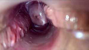 Vagina Pulsating Orgasm