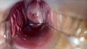Vagina Pulsating Orgasm