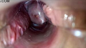 Vagina Pulsating Orgasm