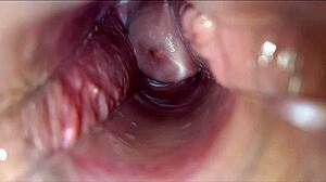Vagina Pulsating Orgasm