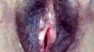 hairy pussy jerk