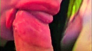 Sloppy Wife Blowjob