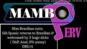 Brazilian Dap Anal