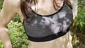 Forest Cum Swallow