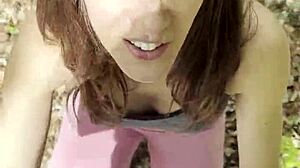 Forest Cum Swallow