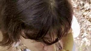 Forest Cum Swallow