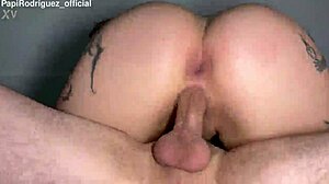 Ass Fuck Rip