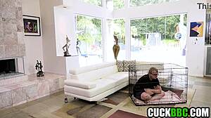 Cuckold BBC Anal