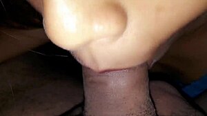susys cock suck